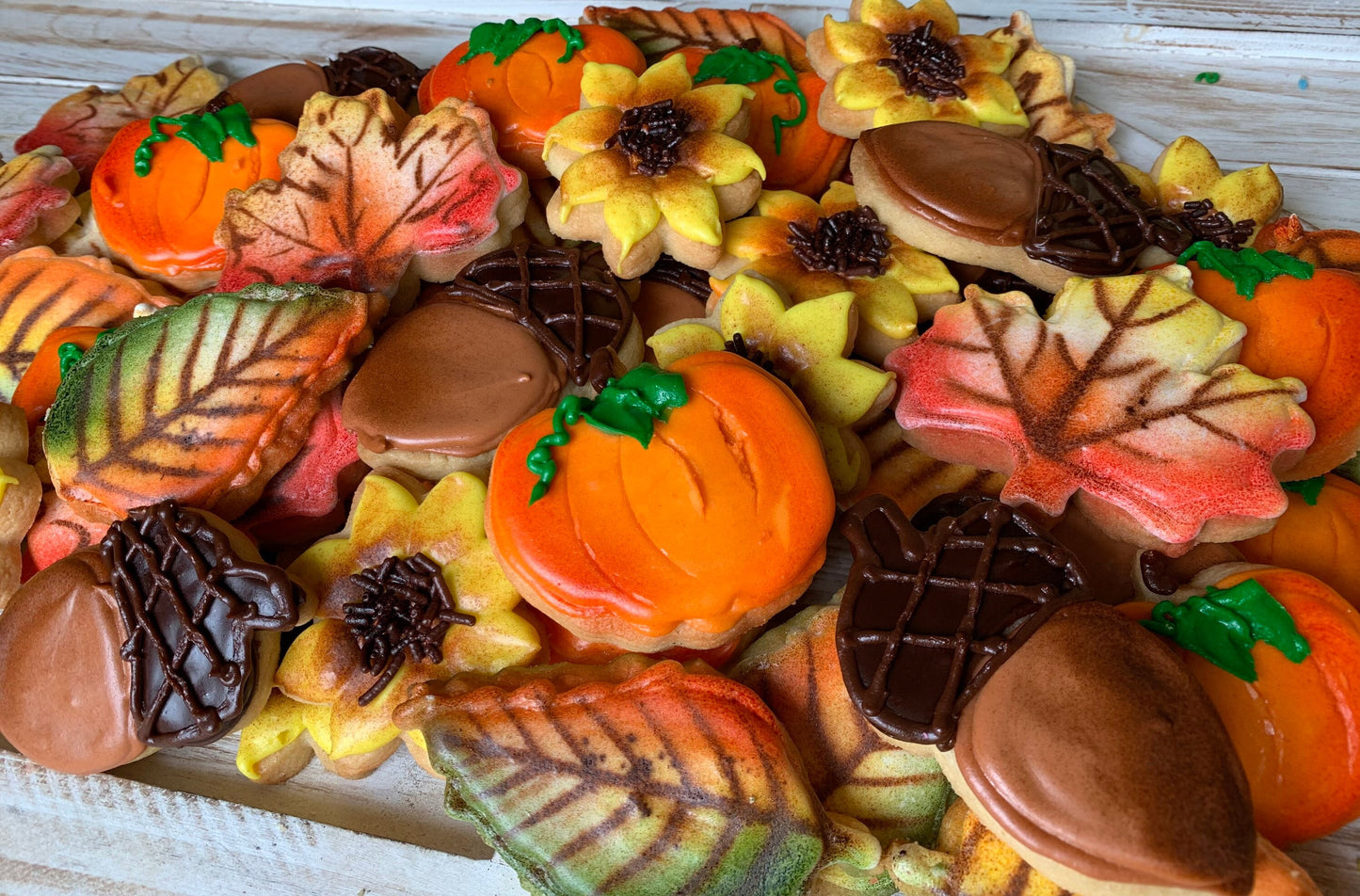Fall/Thanksgiving Sugar Cookies