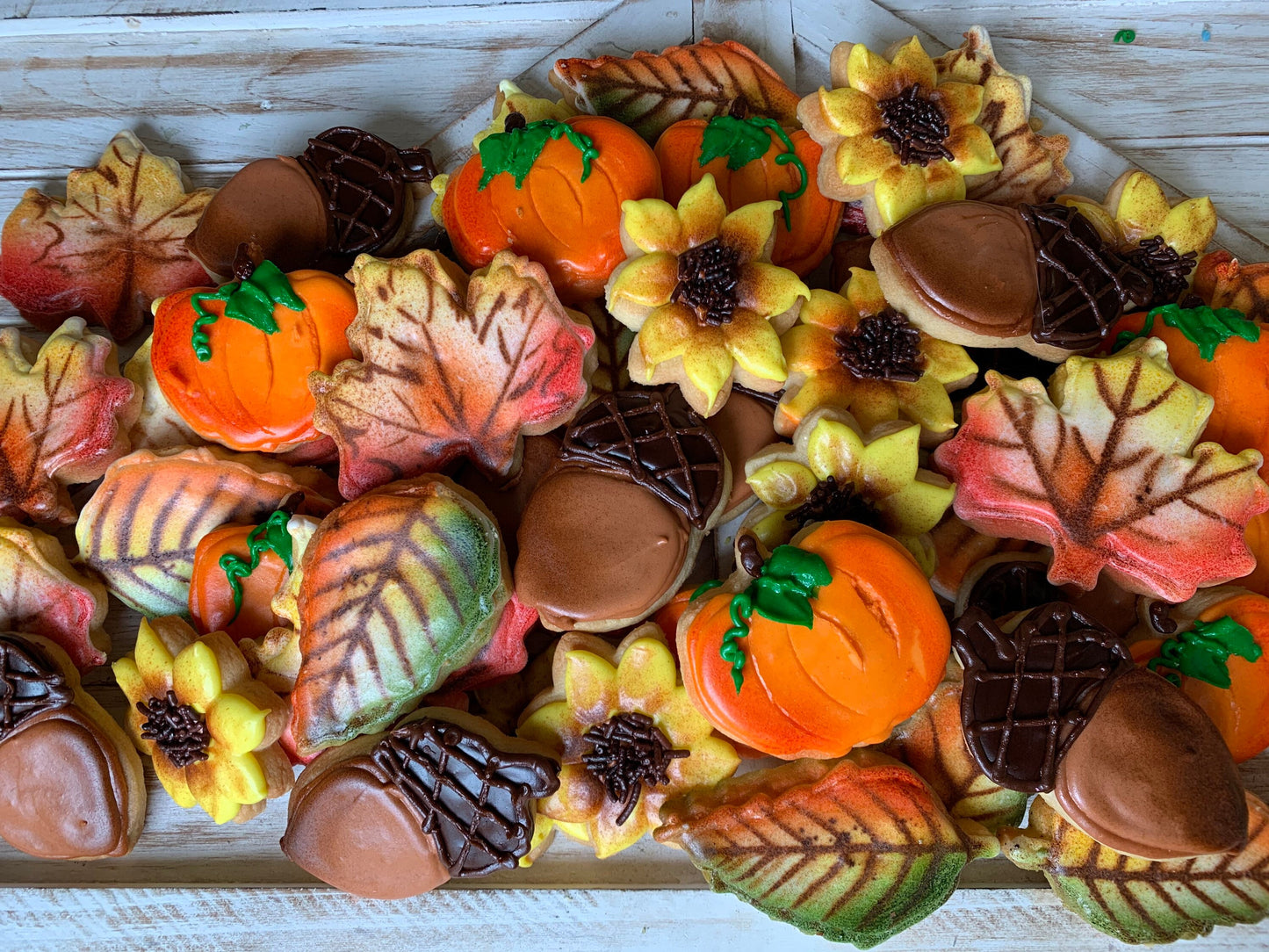 Fall/Thanksgiving Sugar Cookies