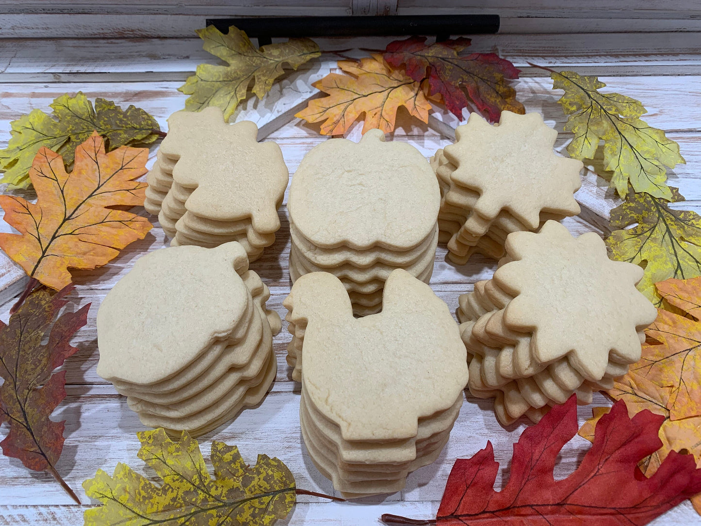 Undecorated Thanksgiving Sugar Cookies 3 Dozen