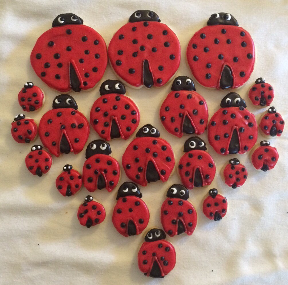 Lady Bug Birthday Sugar Cookie Tray